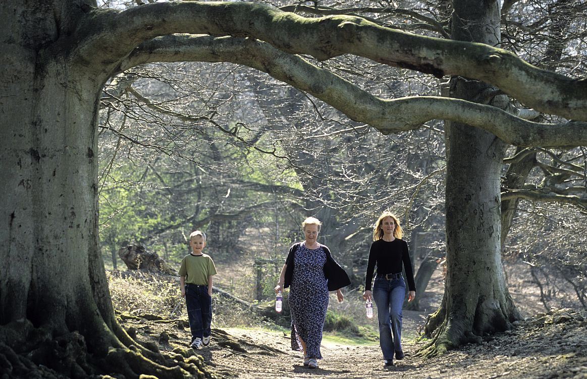 Walking the Cotswold Way through the woods. Picture courtesy Cotswolds Conservation Board.
